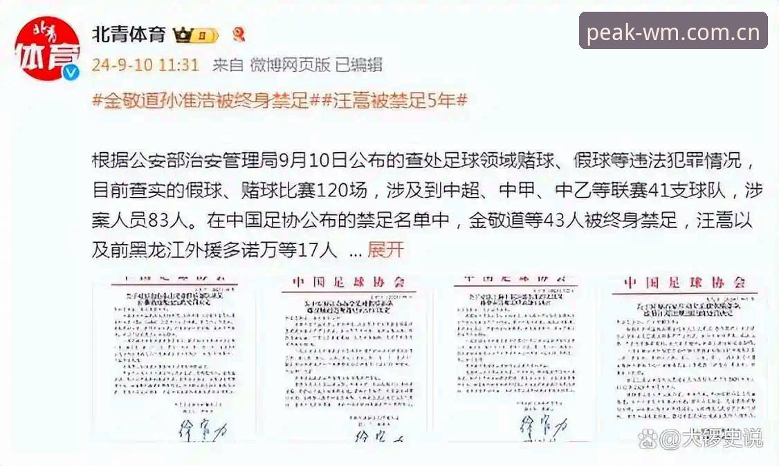 透视足协第三批禁足名单背后的5个关键点——体育赛事平台的深度解读